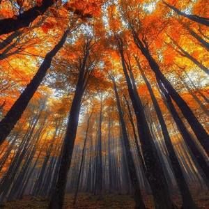 Meet your Posher, Lois